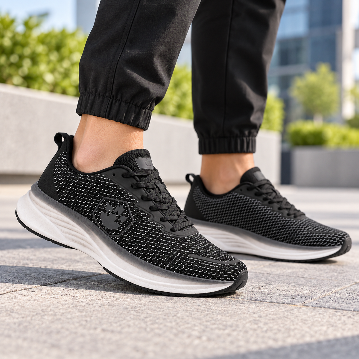 Lumberjack Chess Men's Knit Sneakers in Black